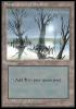 Snow Covered Swamp